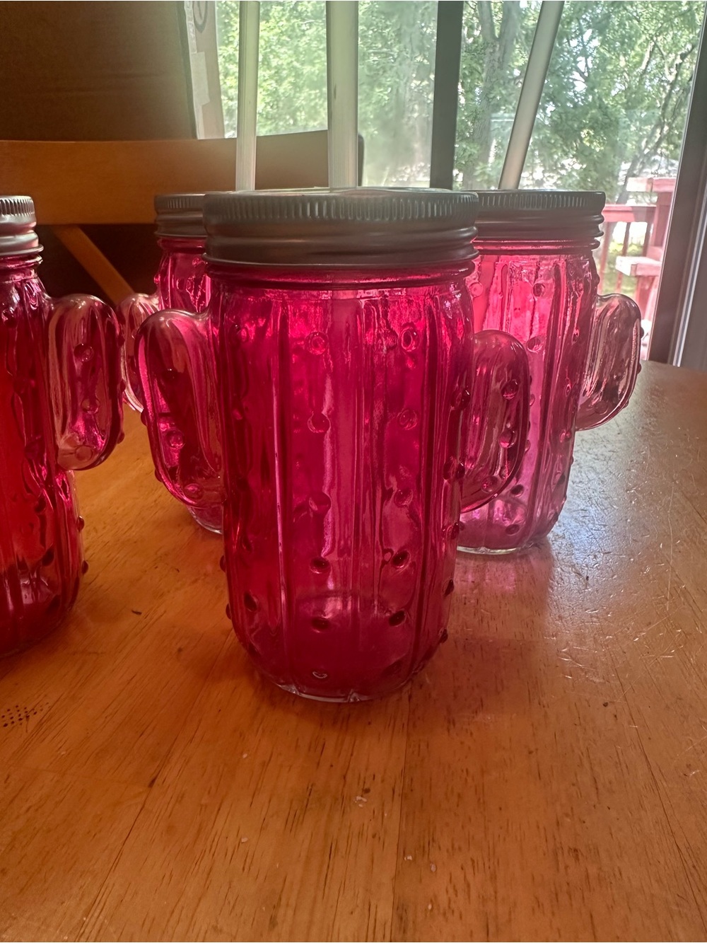 Pink Cactus Mason Jar Drinking Tumblers with Lids and Straws - Set of 4